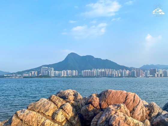 【足動山林】馬年行馬鞍山馬屎洲 馬天尼斯運情如何？