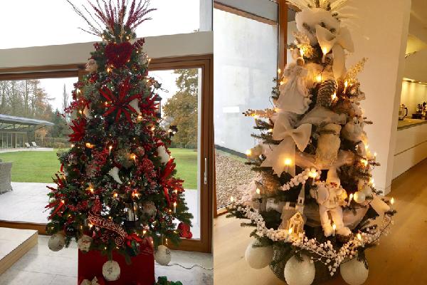 朗奴高文的兩棵聖誕樹。©AFP