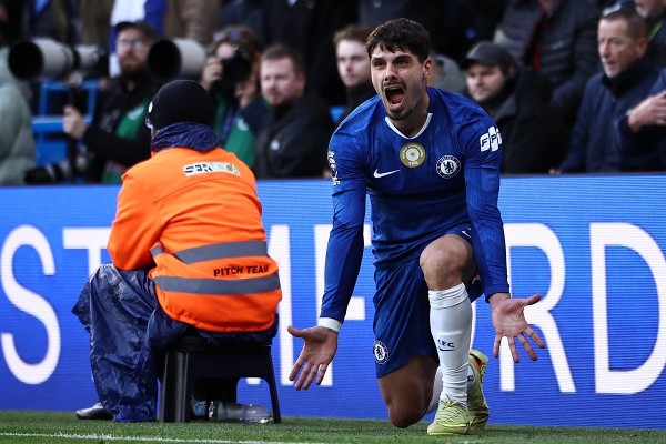 【毛孩隊友】柏度尼圖愛犬氣場十足