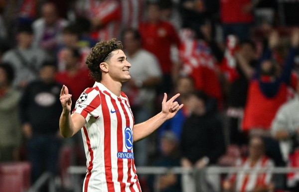 【毛孩隊友】「蜘蛛仔」家藏微笑天使