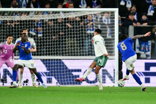 東拿利1+1 意大利贈北愛雙蛋