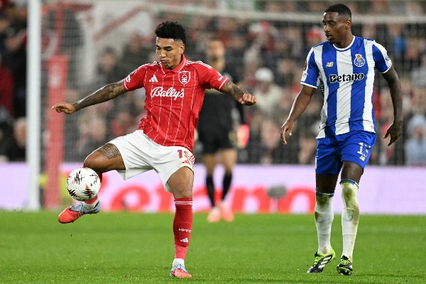 森林中的「小青蛙」 萬事俱備只欠入球