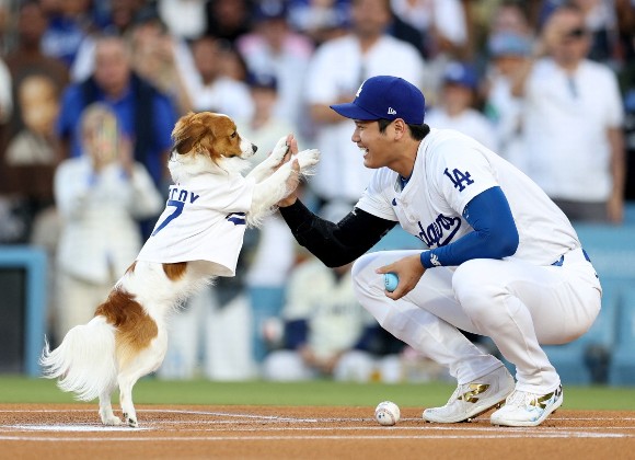 Decoy抵達本壘後和大谷翔平擊掌。©AFP