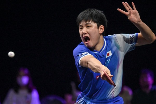 張本智和贏下男單冠軍。©AFP