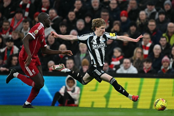 賀維籲哥頓懶理入「廠」傳聞