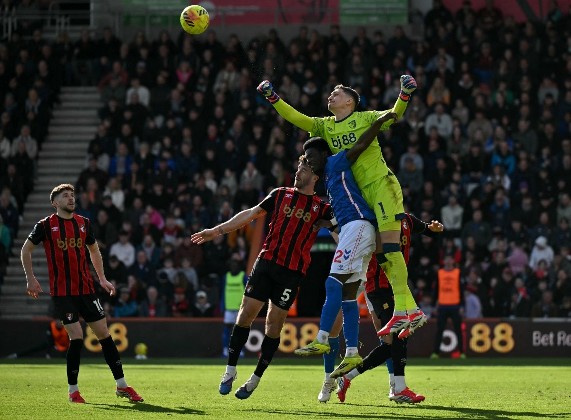 般茅黑貓各一言和